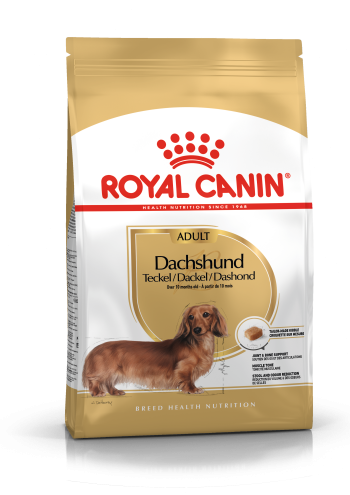 Royal Canin Dachshund Adult száraztáp (tacskó)