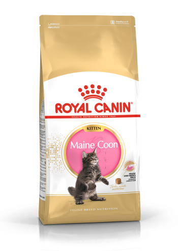 Royal Canin Maine Coon Kitten szárazeledel