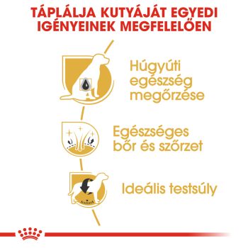 Royal Canin Bichon Frise Adult száraztáp - Image 3