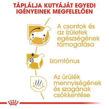 Royal Canin Dachshund Adult száraztáp (tacskó) - Image 4