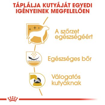 Royal Canin West Highland White Terrier Adult szárazeledel ( Westi ) (másolat) - Image 3