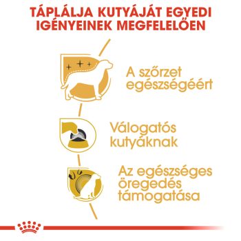 Royal Canin Yorkshire Terrier Adult száraztáp ( Yorki ) - Image 4