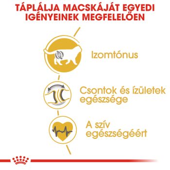 Royal Canin British Adult szárazeledel - Image 3