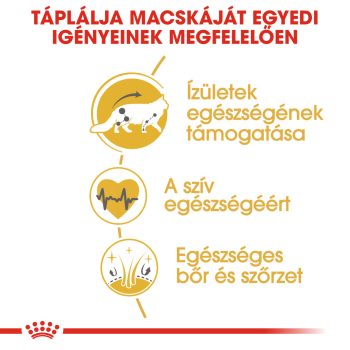 Royal Canin Maine Coon Adult szárazeledel - Image 4