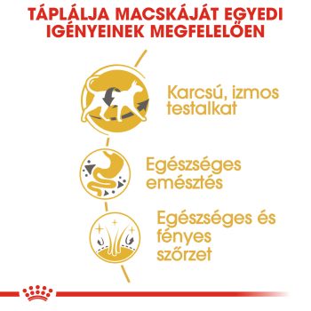 Royal Canin Siamese Adult szárazeledel - Image 5