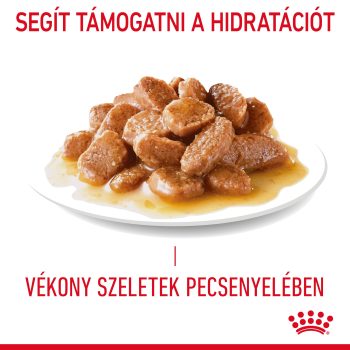 Royal Canin Light Weight Care alutasakos szószban - Image 6