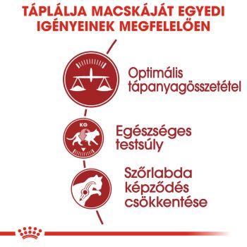 Royal Canin Regular Fit 32 száraztáp - Image 6