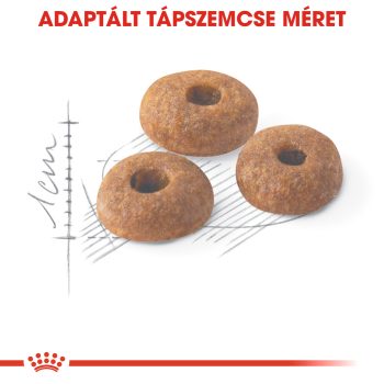Royal Canin Regular Fit 32 száraztáp - Image 4