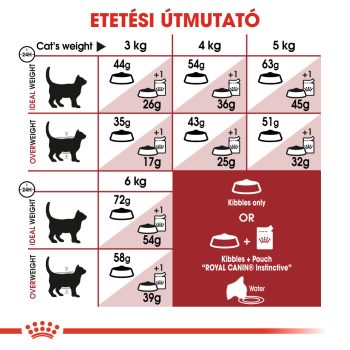 Royal Canin Regular Fit 32 száraztáp - Image 5