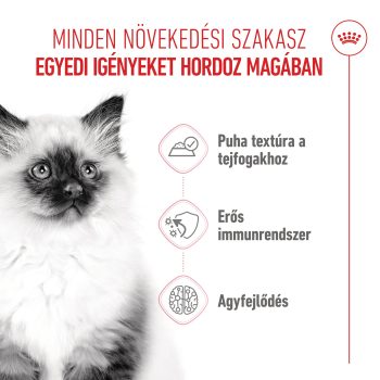 Royal Canin Kitten nedveseledel gravy, szószban - Image 5