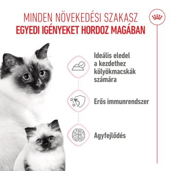 Royal Canin Mother & Babycat Ultra Soft Mousse , pástétom - Image 6