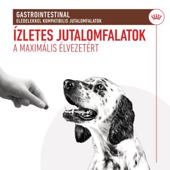 Royal Canin Gastrointestinal Snack / jutalomfalat - Image 6