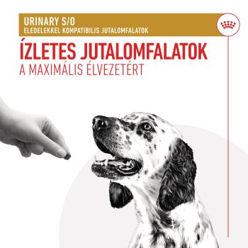 Royal Canin Urinary  Snack / jutalomfalat - Image 4