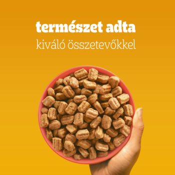 Pedigree száraztáp marhával és zöldségekkel felnőtt kutyák számára - Image 6
