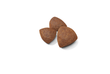 Royal Canin Medium Starter Mother & Babydog szárazeledel - Image 9