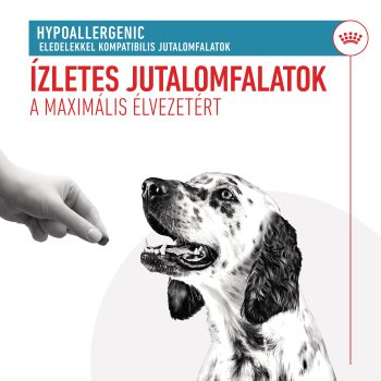 Royal Canin Hypoallergenic  Snack / jutalomfalat - Image 5